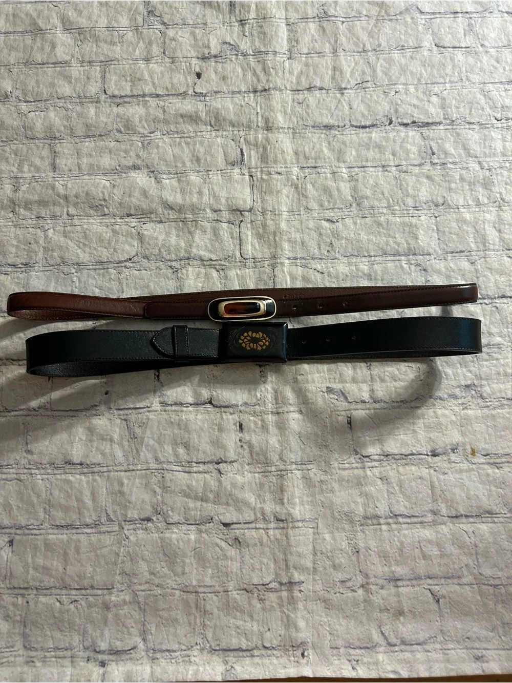 N/A fossil thin